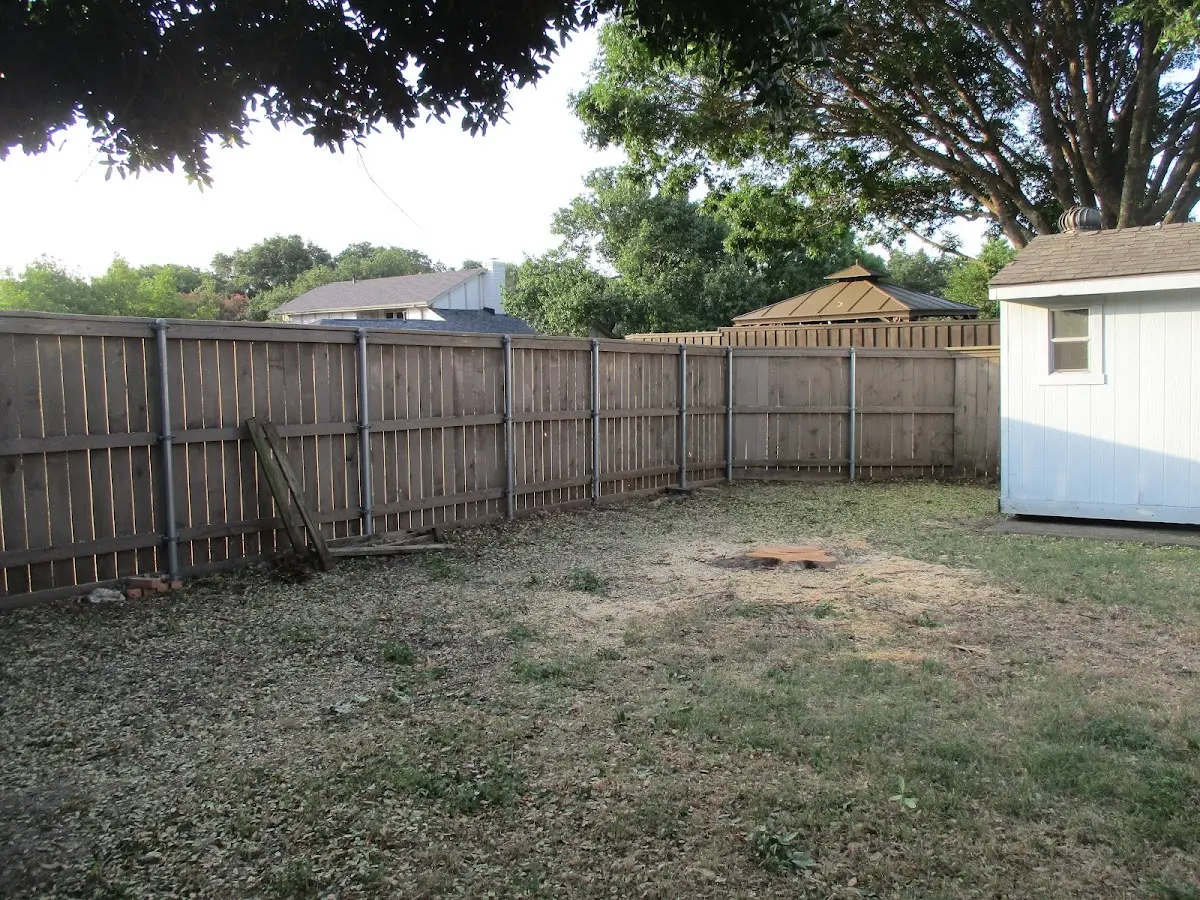 Cleared yard after professional tree removal in Cottontown
