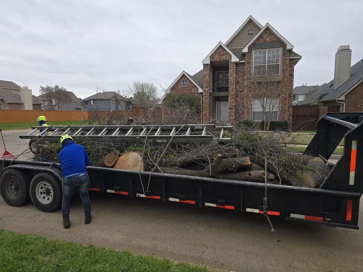 Expert Lot Clearing with proper safety equipment in Cottontown